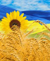C Днем Независимости Украины! (график работы)